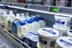 2026年食物平安范畴专项证书食物平安总监细致报